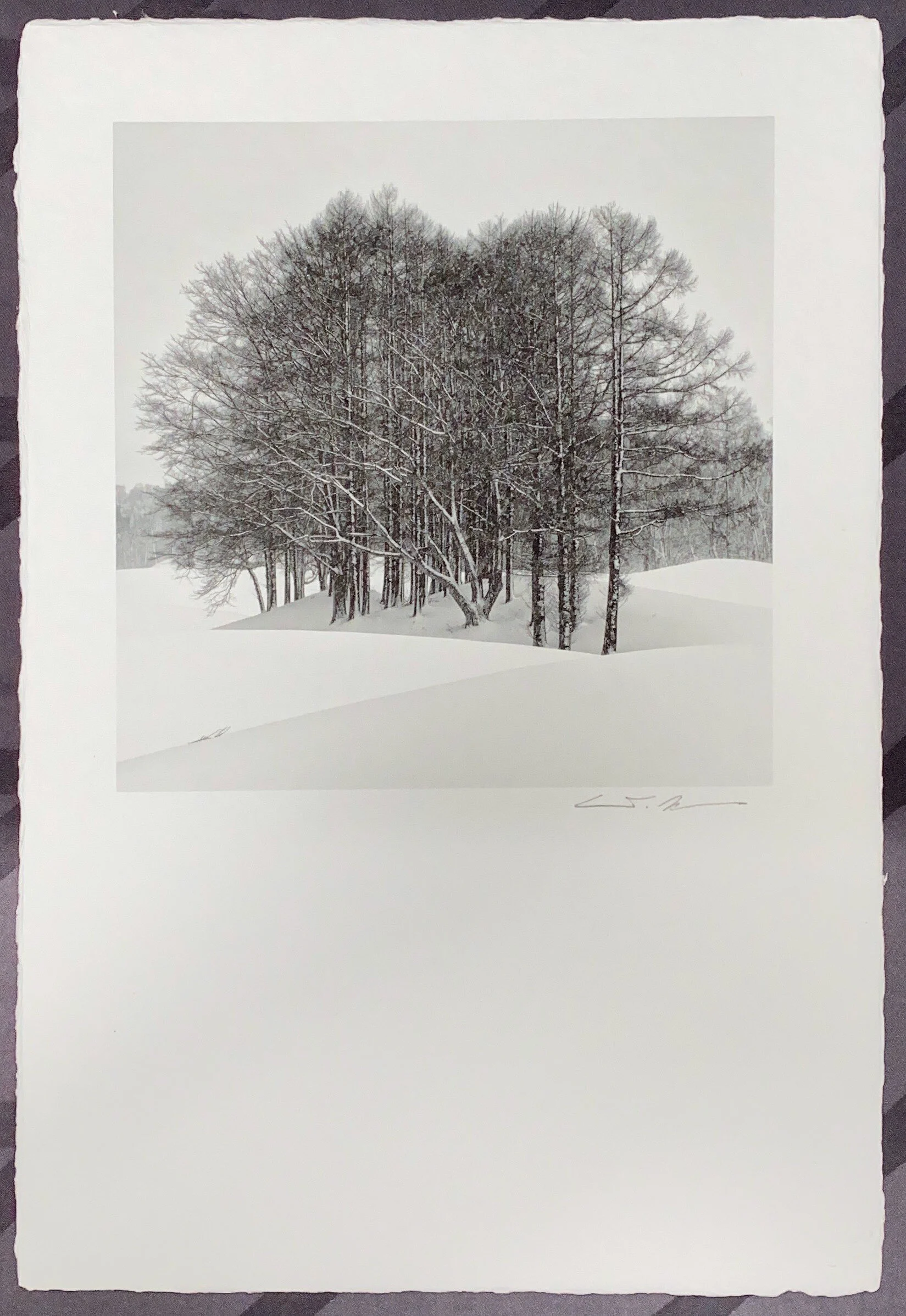 Prints — Kurochromes